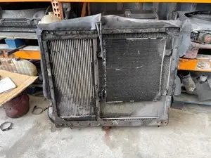 P-11004