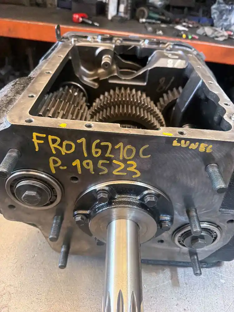 P-19523