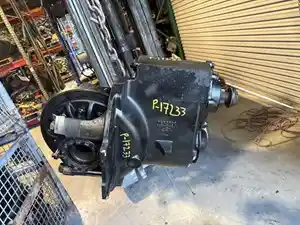 P-17233