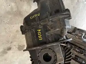 P-12313