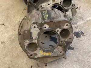 P-10113