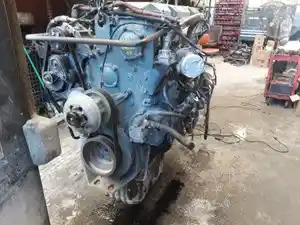 P-17492