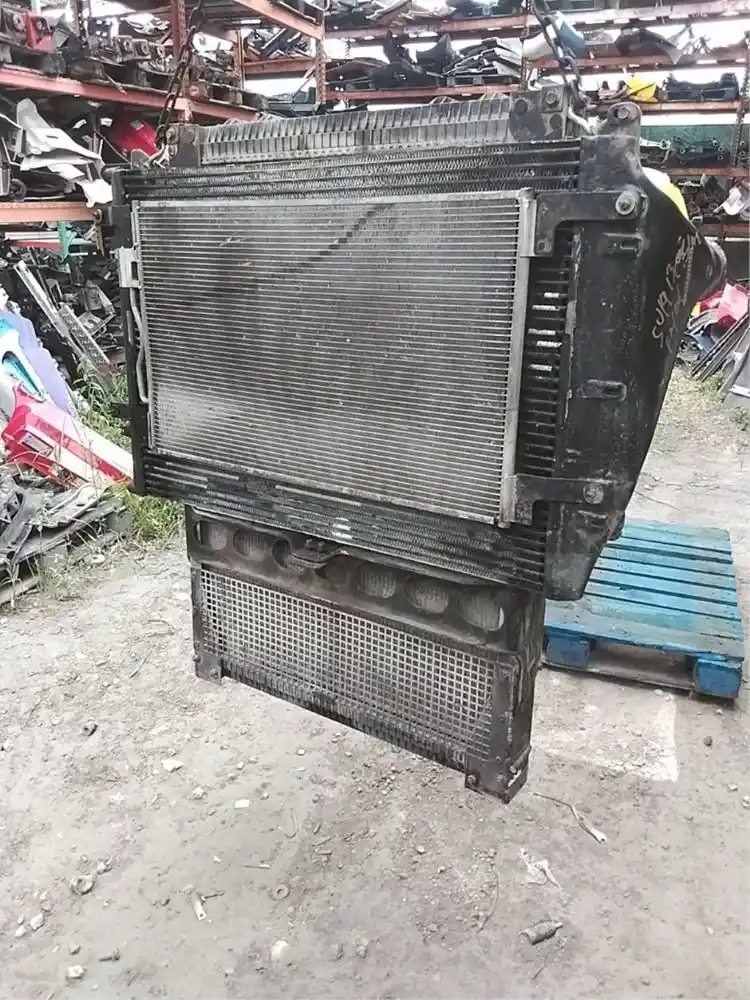 P-19034