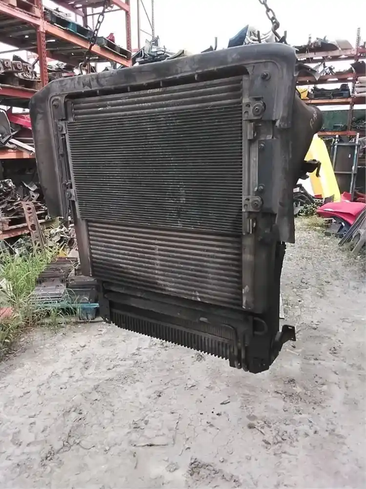 P-19003
