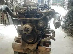 P-18585