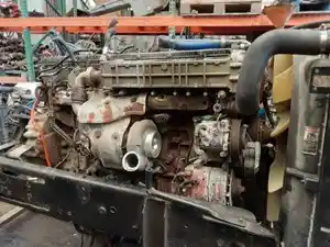 P-16784 GOOD RUNNER