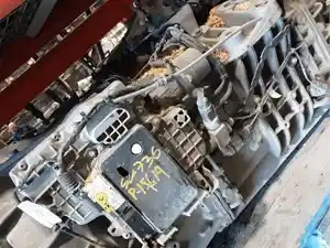 P-15619