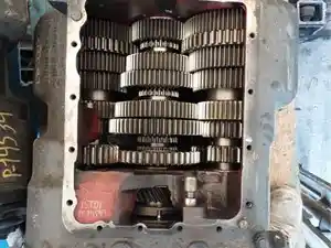 P-14597