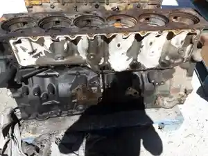 P-11838