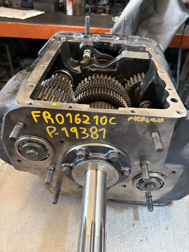 P-19381