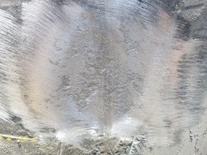 P-1291 - Image 4