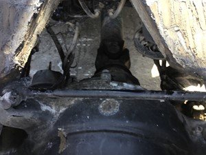 P-4589 - Image 2