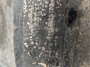 P-5736 - Image 3