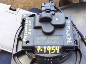 P-1954