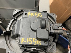 P-1555