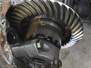 P-4217 - Image 4