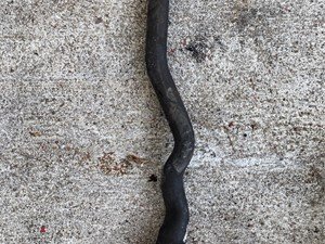 P-9660 - Image 2