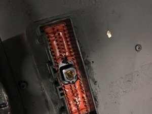 P-4226 - Image 3