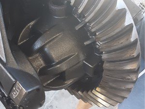 P-2019 - Image 3