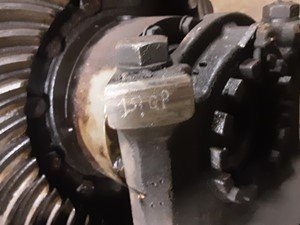 P-5599 - Image 2