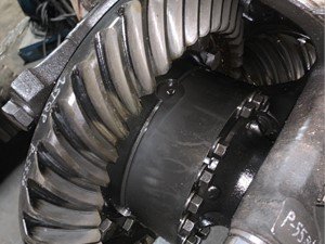P-5536 - Image 3
