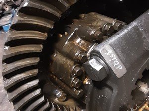 P-337 - Image 3