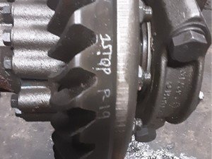 P-19 - Image 4