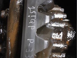 P-337 - Image 4