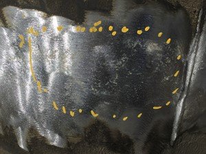 P-1304 - Image 3