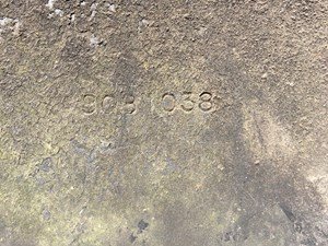 P-183 - Image 2